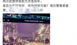 深圳最新爆料视频,城市发展与生活变迁全景