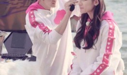 鹿晗迪丽热巴娱乐圈爆料,揭秘背后真相与影响